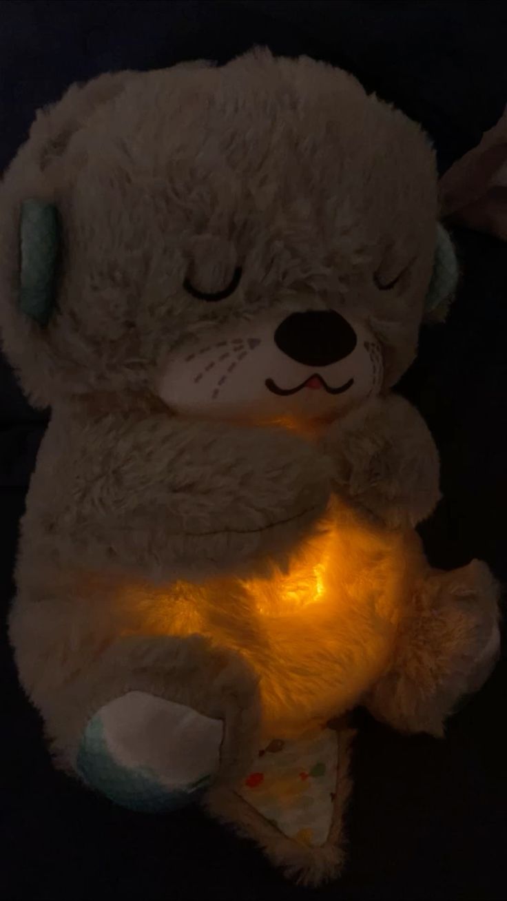 🌿 Plišana koala koja diše – mekani prijatelj za miran san 🌿